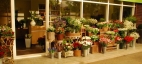 flower store -G